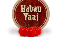 Logo - haban yaaj.png